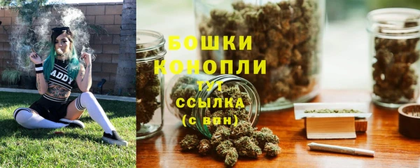 2c-b Белокуриха