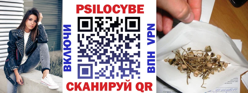 shop официальный сайт где купить наркоту Кузнецк Галлюциногенные грибы Cubensis
